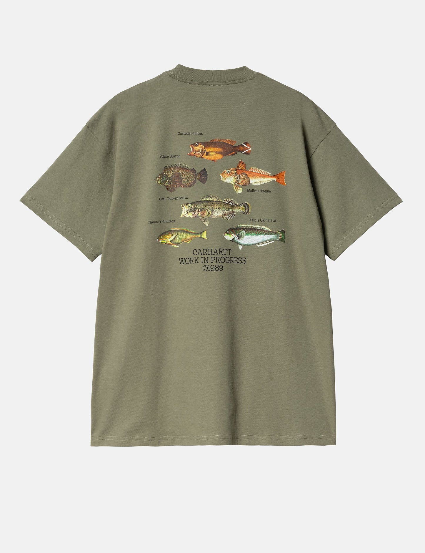 Fisch-T-Shirt (locker sitzend) – Dollargrün