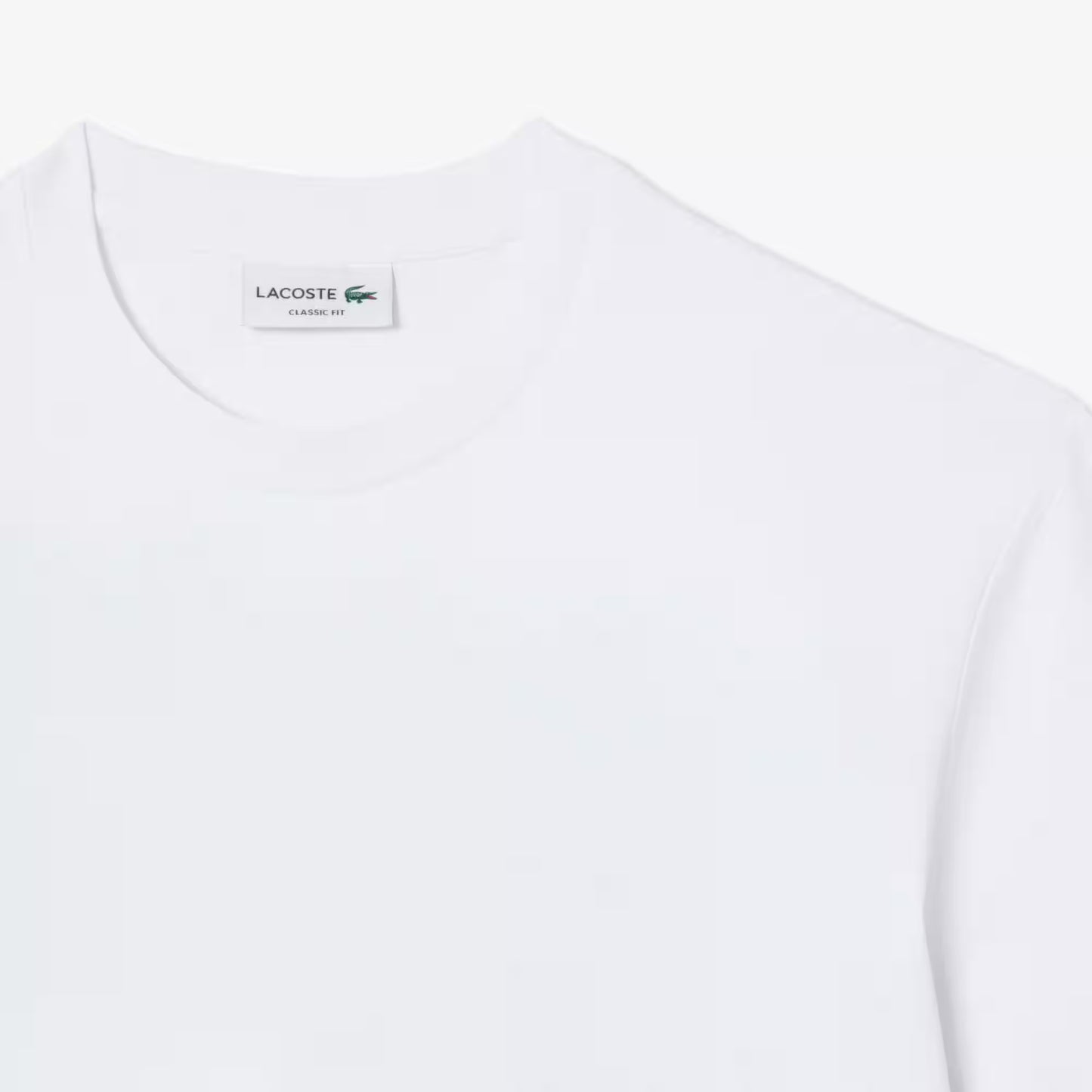 Printed Cotton T-shirt 3