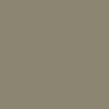 Skate Utility Loose Shorts
